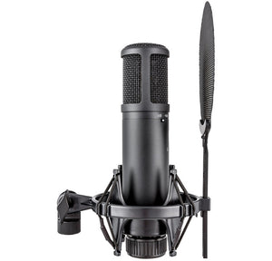 sE2200 sE Electronics - Large Diaphram Condenser Mic Cardioid with Shockmount and Filter